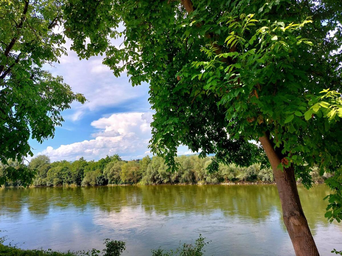 Guesthouse Ob Sotocju Budic Brežice Dış mekan fotoğraf